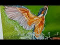Oil painting on canvas  how to paint a bird  kingfisher bird by artistry