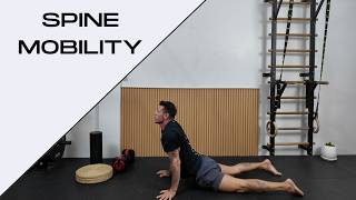 Spine Mobility – Body Connection (10 min)