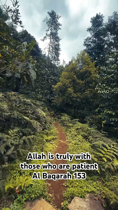 patience Qs Al Baqarah 153 #quran #quranrecitation