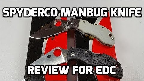 Spyderco Manbug Knife Review for EDC (Every Day Carry)
