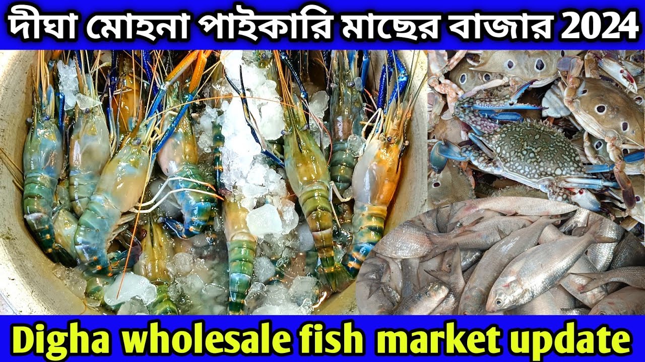 দীঘা পাইকারি মাছের বাজার | Digha fish market | Digha wholesale fish market