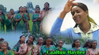 Shinoye ya Ababilee Oromo new music |oromo best ethiopia music 2022