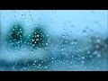 RainDrops を歌ってみたಠ зಠ