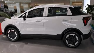 2024 Geely Geometry E Firefly In-Depth Walkaround