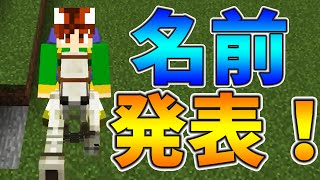 【ぽこくら#109】スケルトンホース命名＆ブランチマイニング！【マインクラフト】ゆっくり実況プレイ