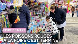 Les petits plaisirs de la foire : On ne gagnera plus de poisson rouge screenshot 4