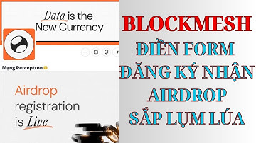 PERCEPTRON (BLOCKMESH NETWORK). ĐIỀN NGAY FORM ĐĂNG KÝ NHẬN AIRDROP TỪ DỰ ÁN, SẮP LỤM LUA MN NHÉ