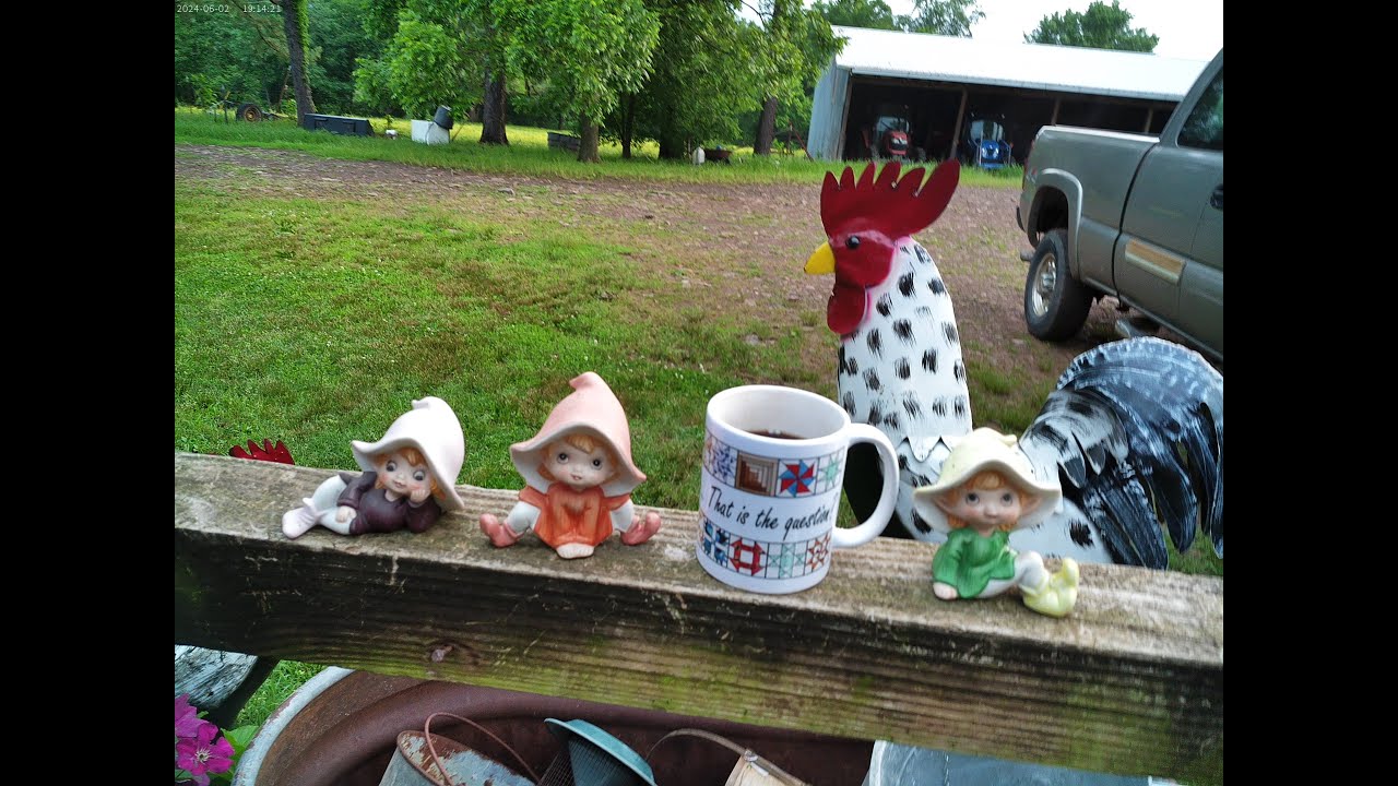 Morning May 19 Stroll/ChatVlog