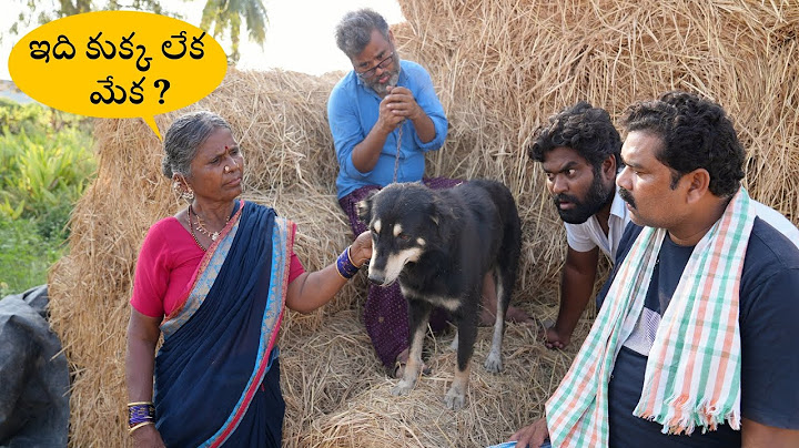 గంగవ్వ 31st దావత్ | Currry Confusion | Gangavva 31st Daawath | My Village Show Comedy