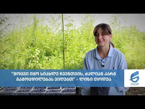 ლიზი თოდუა: \'მოცვი იყო სიახლე ჩვენთვის, ძალიან კარგ გამოცდილებას ვიღებთ\'