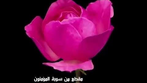مقطع من سورة المؤمنون..الشيخ. أحمد السعود.. ⤵