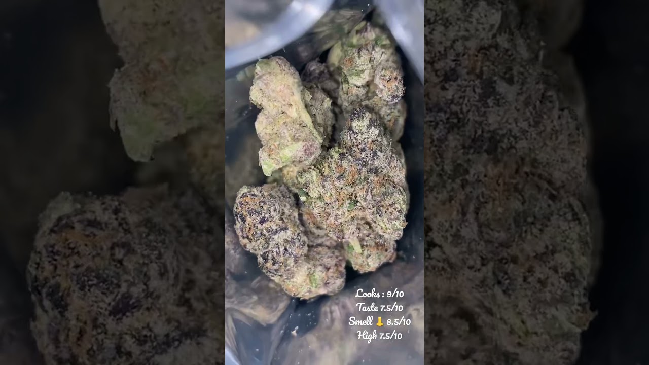Jelly Donut 🍩 Silver Cup Late ⏰  Night • Strain Review 😶‍🌫️🧁🍩🔥🤯
