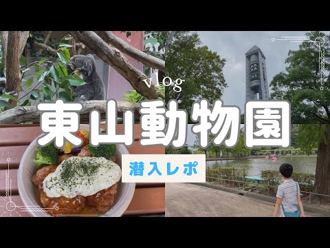 【名古屋】東山動植物園潜入レポ/東山スカイタワー