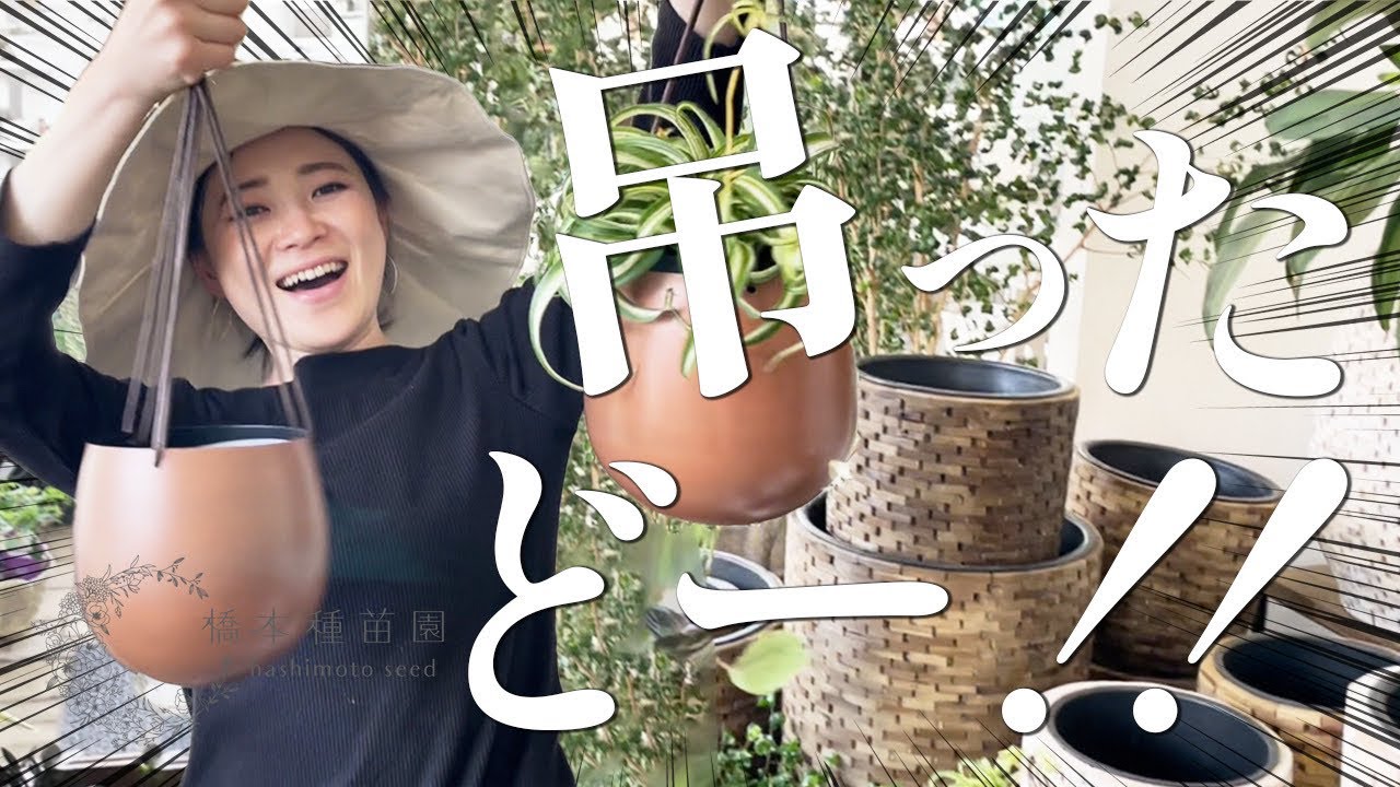 Hanging] Instantly add style to your space with hanging pots