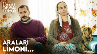 Kudret Kocası İsmail Ile Arasını Düzeltmeye Çalışıyor - Hayat Devam Ediyor 7. 
