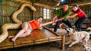 72 Hours of Survival 😱 Giant Python Under Bed Strikes While She Sleeps — Family Trapped in Fear! Wealth