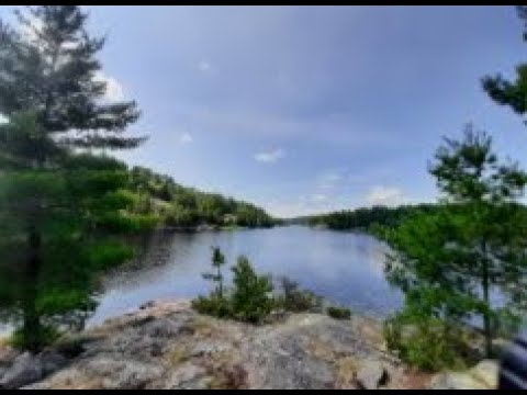 44 inch top water pickerel river musky 