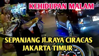 MENELUSURI KEHIDUPAN KUPU-KUPU MALAM 