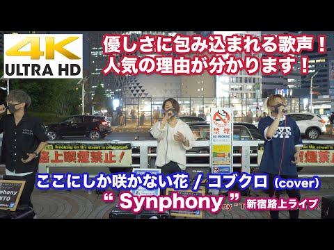 【4K】優しさに包み込まれる歌声！人気の理由が分かります！ 　ここにしか咲かない花 / コブクロ（cover）　" Synphony " 2021.6.26 新宿路上ライブ 4K動画
