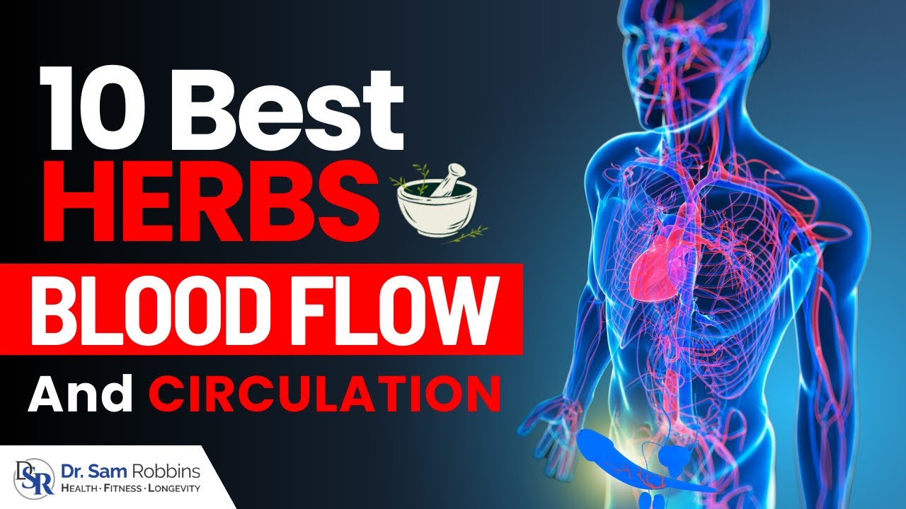 10 Proven Herbs YouTube 10 Proven Herbs YouTube