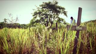 Fantome Island - PREVIEW