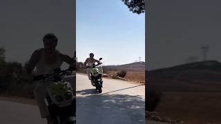 Dom Dz  alger funny algerie comedy mostaganem oran memes india indian