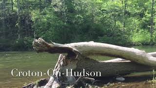 New York Side Scenes By Tashi Tsering Official Videos