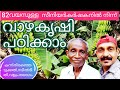 വാഴകൃഷി പഠിക്കാം | Banana Farming Tips | Banana farming in Kerala | Vazhakrishi | Vazha krishi |