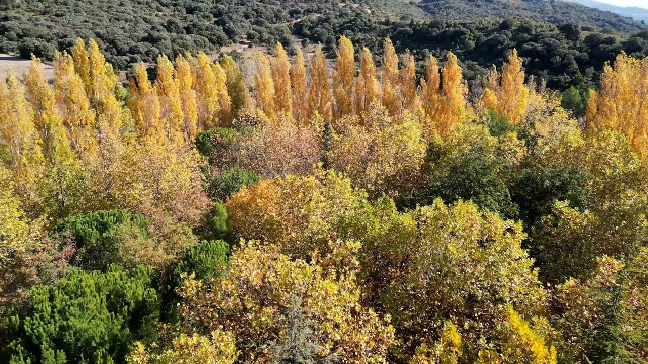 Paisajes otoñales en el entorno del parque San Ginés de Labastida a vista de Dron