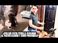 ¿Por qué estos Pitbulls 4t4c4r0n al Pastor Alemán y como prevenirlo? 😱