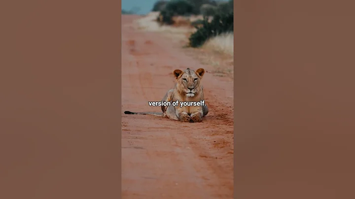 Embrace Challenges: The Path to Personal Growth | Motivational | Mindset and Perserverance