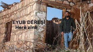 Eyub Dêreşî - Herê Zinê