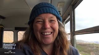 Up Close & Personal Wildlife &  Breathtaking Views on the Camper Bus Denali National Park screenshot 2