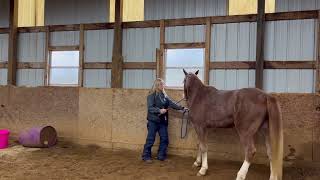 Training side pass to the mounting block