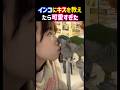 インコにキスを教えたら可愛すぎた。 #癒し #インコ #可愛い #鳥 #面白い #parakeet #shorts