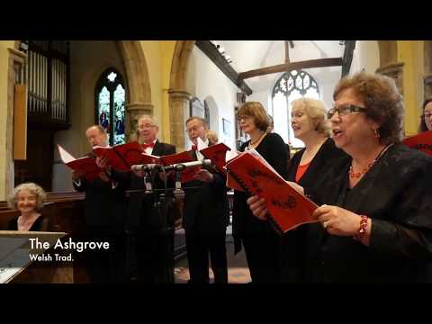 The Ashgrove