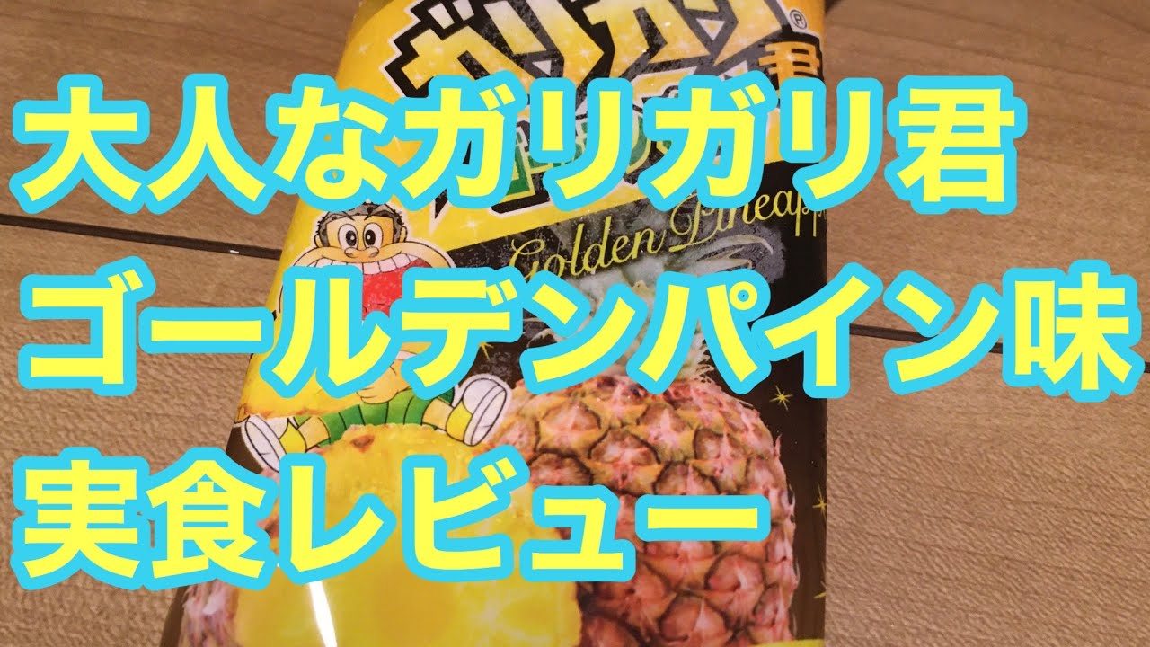 大人なガリガリ君 ゴールデンパイン味 実食レビュー Youtube