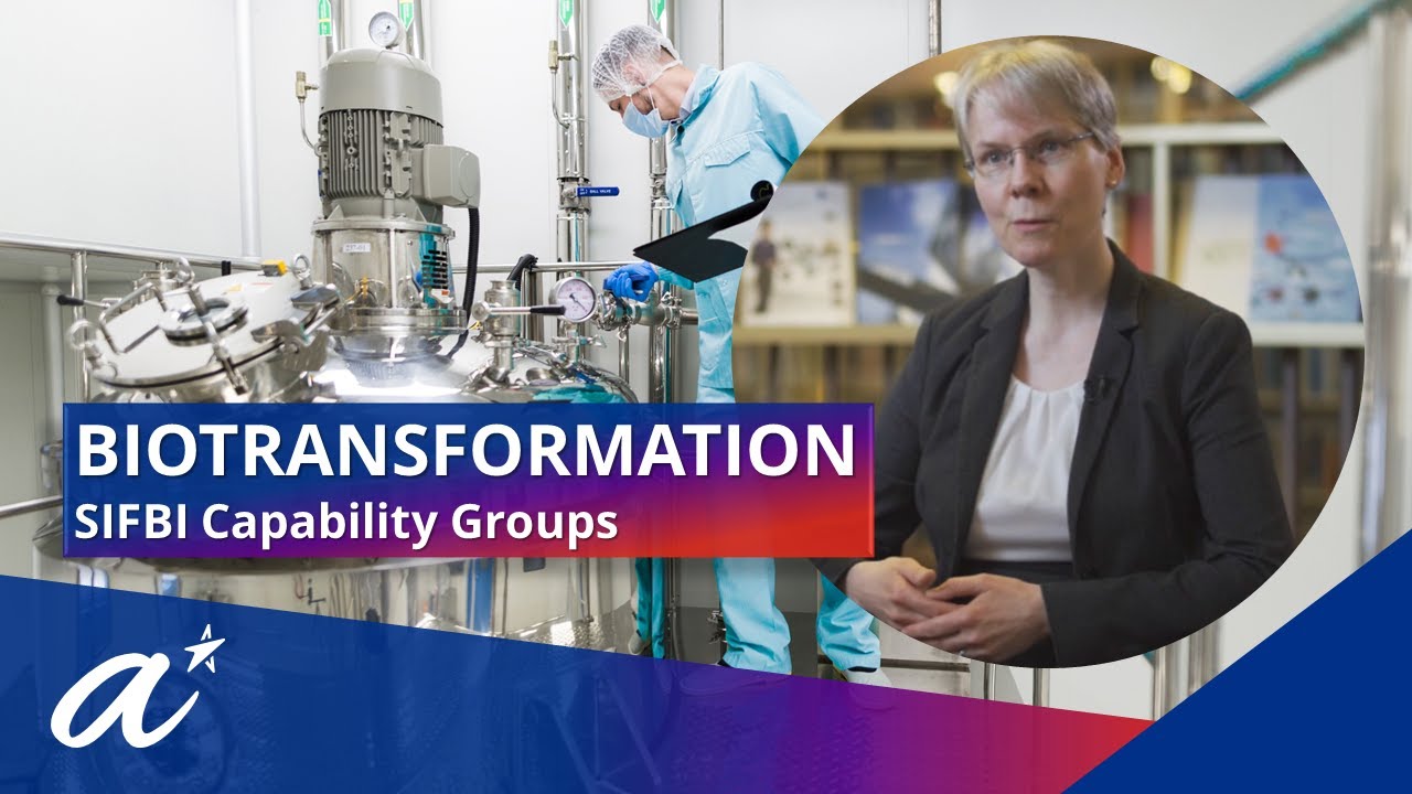 Biotransformation Capability Group, SIFBI