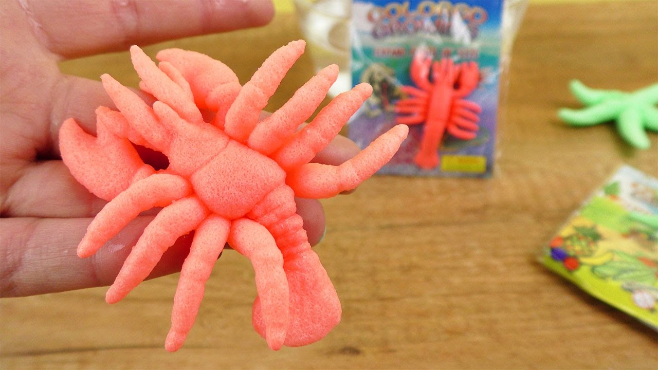 GROWING ANIMALS TEIL 2 600 in 3 TAGEN Super viele bunte Fische