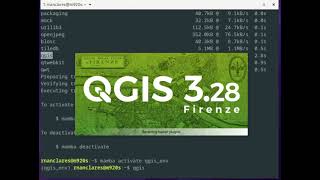 Installing QGIS using Mambaforge HD