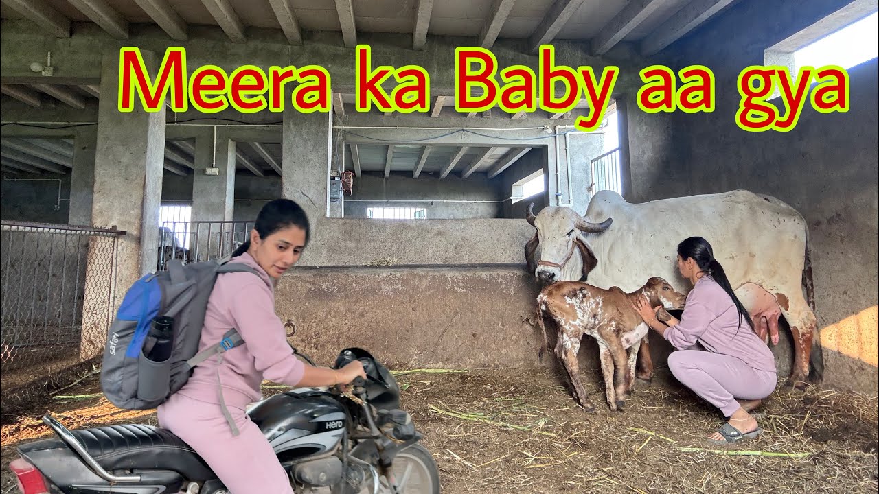 Meera ka baby aa gya or Bharti kaha college ja rahi hai 