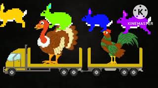 Animals Ending Kids Picture Show Resimi