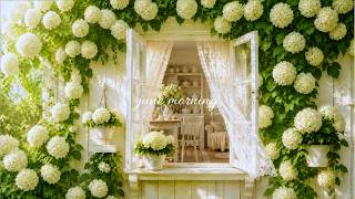 a quiet june morning 🌿 soft piano playlist for reading, studying & calm focus screenshot 5