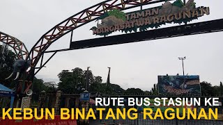 Kebun Binatang Ragunan : Rute Busway dari Stasiun KRL Tanjung Barat