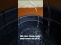 World Water Day || Save Water #worldwaterday #shorts