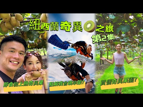 ［紐西蘭奇異之旅第2集之不如買個奇異果園？］飛機跳下來面青過奇異果？港幣十幾蚊生蠔？