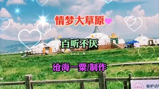 情梦大草原