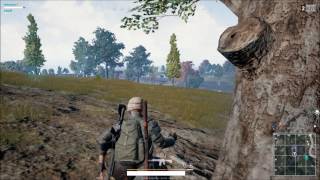 Winner Winner Chicken Dinner