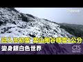 社會反應與哀悼