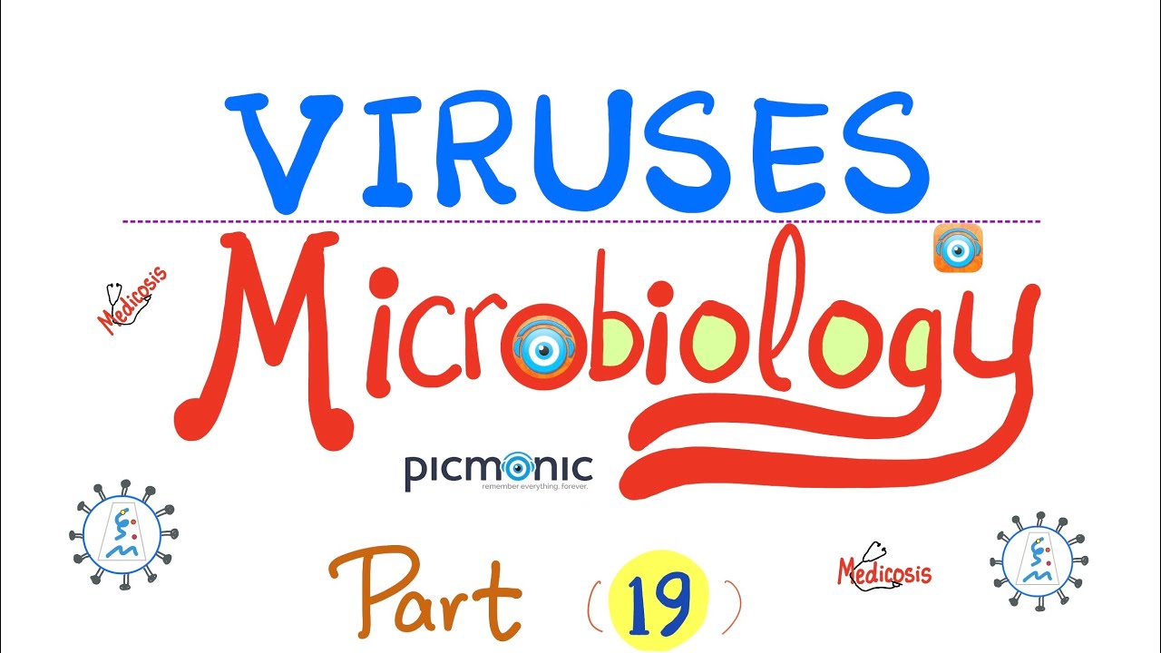 Virology - DNA Viruses - HSV, VZV, EBV, CMV, Mononucleosis - Picmonic Microbiology (Part 19)